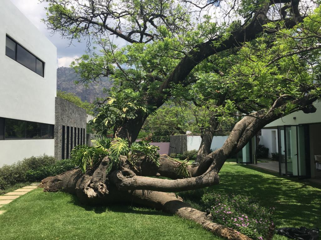 Hotel Boutique Casa Fernanda (Adults Only) Tepoztlan Luaran gambar